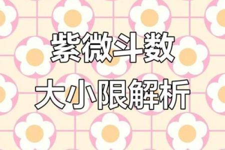 紫薇斗数什么叫限流盘