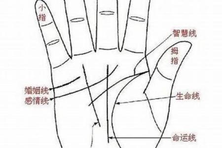 女人手相算命图解：嫁得好的手相