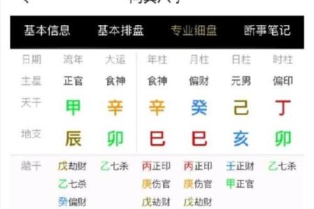 八字命盘养是什么意思