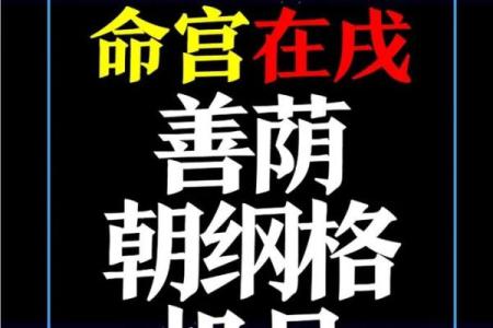 紫薇斗数定盘软件