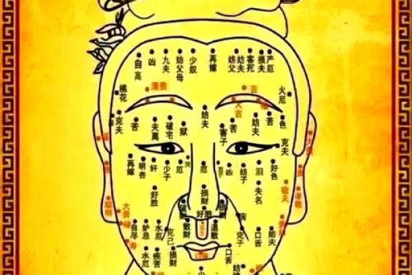 观音痣和美人痣 眉中有痣是富贵之相