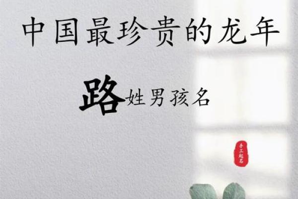 路姓男孩名字大全-路姓男孩起名字大全-路姓名字大全姓名