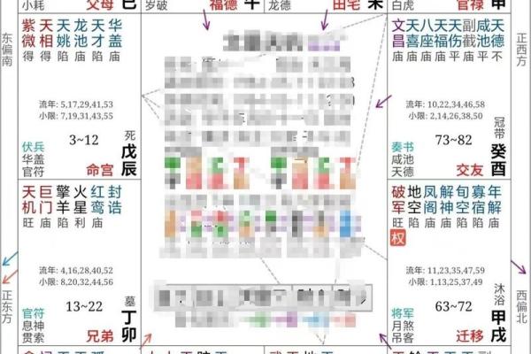 紫薇斗数星盘分析