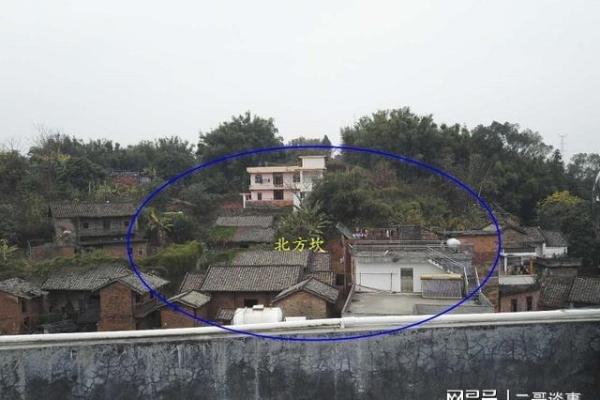 风水房子后面没有山