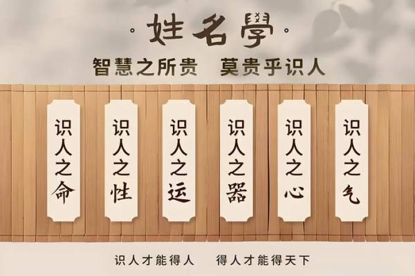 取名八字测试