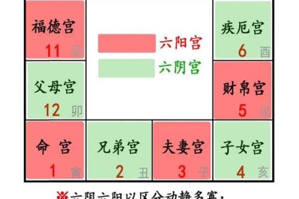 紫薇斗数官禄宫配偶