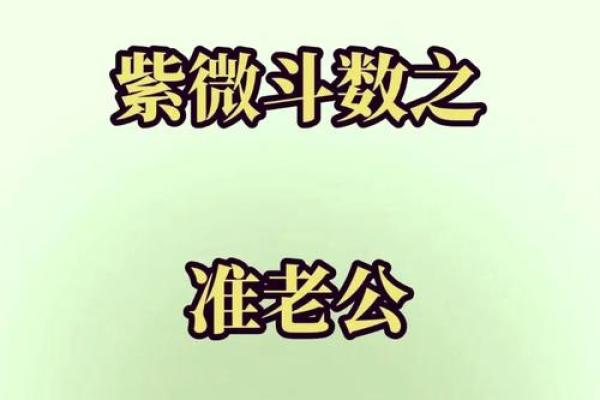 紫薇斗数看有几个男人