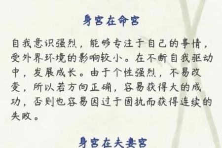 紫薇斗数命主星和身主星