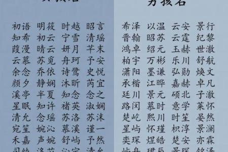 2019年4月2号卯时出生的男孩应该起什么样的名字姓名