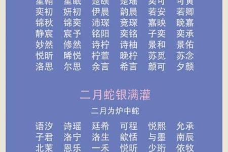 6月份出生的属蛇男孩应该取什么名字姓名