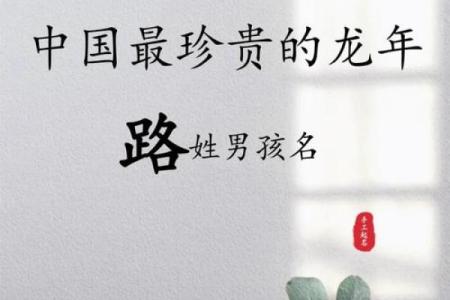 路姓男孩名字大全-路姓男孩起名字大全-路姓名字大全姓名