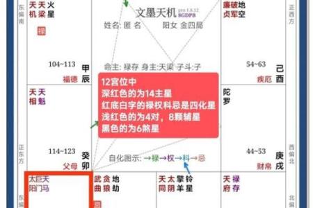 紫微斗数算命详解 紫微斗数测算命运？