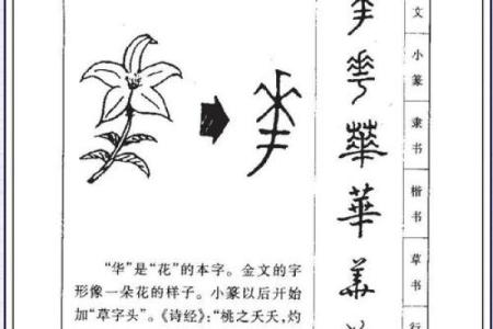 姓郭的名人-姓名学-华易算命网姓名