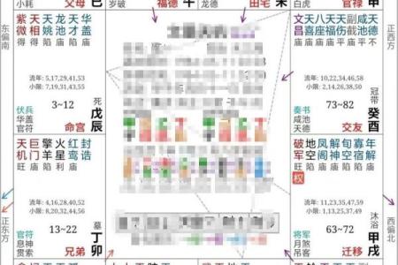 紫薇斗数星盘分析