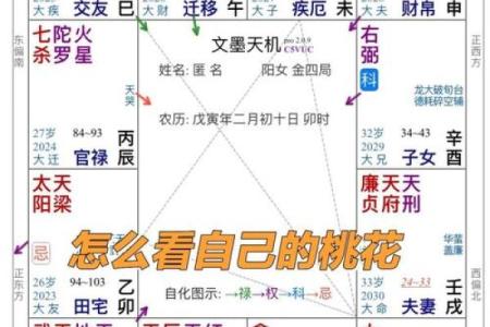 紫薇斗数流年考运