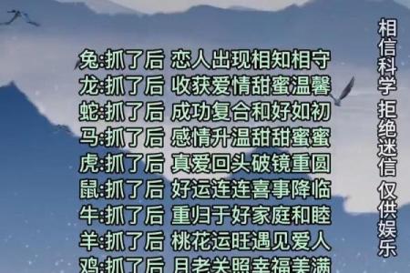 十二生肖桃花运旺盛的方位