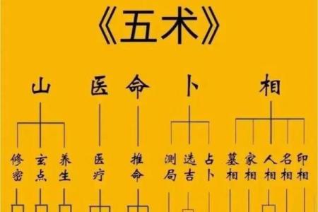 紫薇斗数看寿数