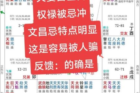 紫薇斗数看你的学历