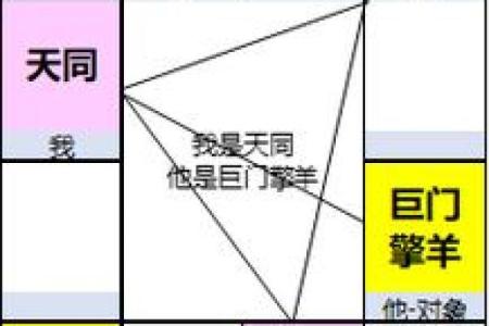 依婷紫薇斗数夫妻