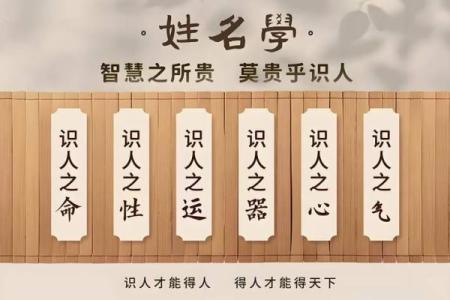 取名八字测试