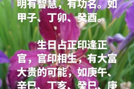 八字日支偏印