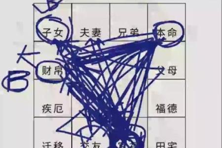 紫薇斗数官禄宫配偶