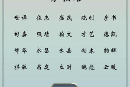 属猪辰时出生的男孩如何取名字，宜用什么字姓名