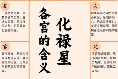 紫微命盘查询免费算命