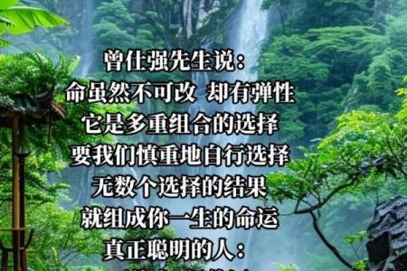 曾仕强的八字格局