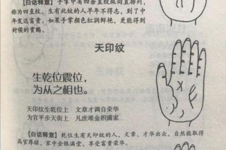 指纹算命,十个斗手指纹算命图解