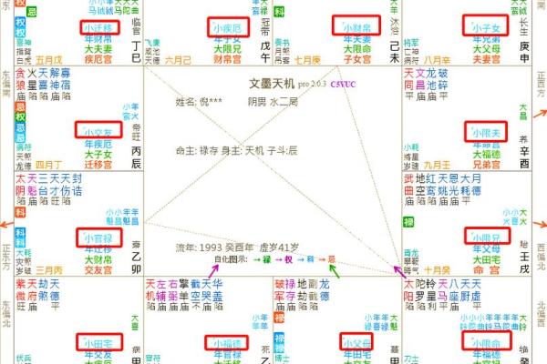 紫微斗数怎么看是小限 紫微斗数大小限的算法？