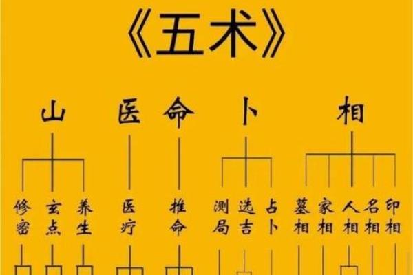 紫薇斗数阳宫