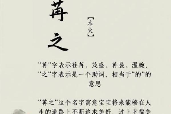 魏姓女孩生辰八字起名字  生辰八字起名免费网站