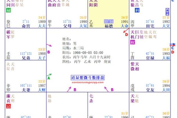 紫薇斗数网上命例