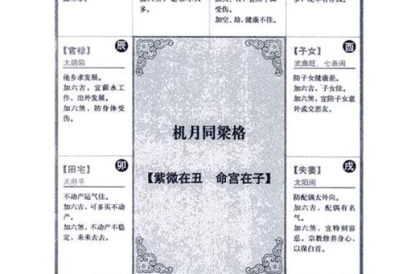 占星紫薇斗数