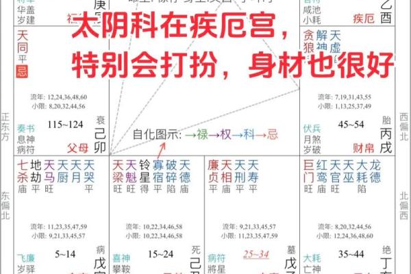 紫薇天相坐疾厄宫