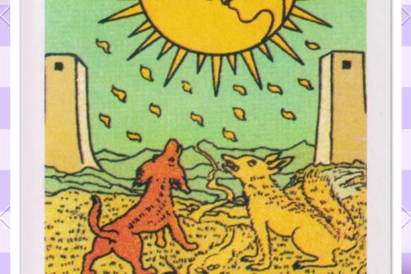 塔罗测试：期末能不能考到好成绩？
