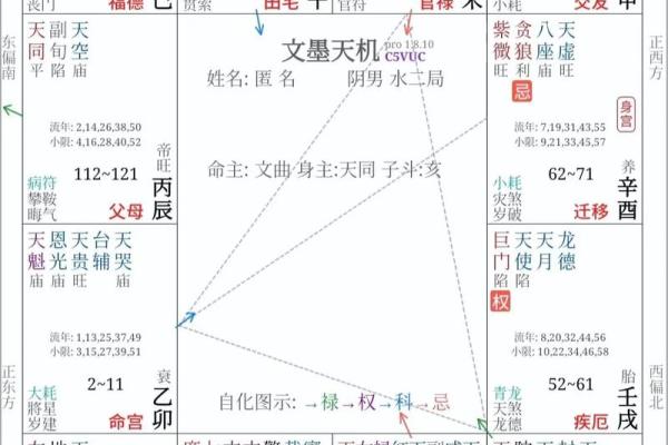 紫微斗数里怎样查小限视频 紫微斗数如何看大限？