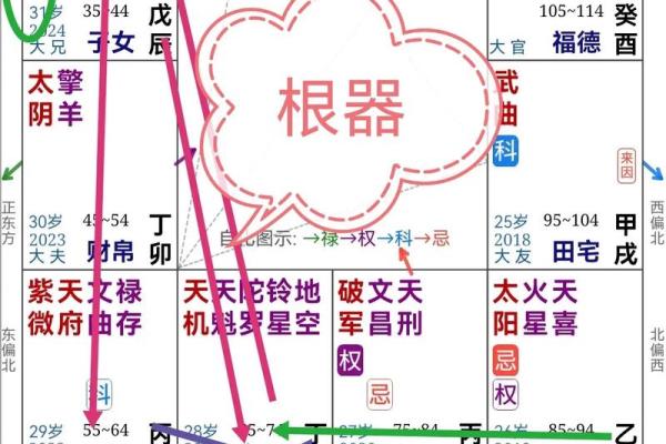 紫薇命理斗数app