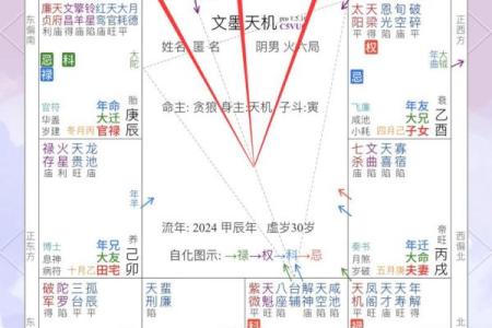 紫薇斗数星曜表
