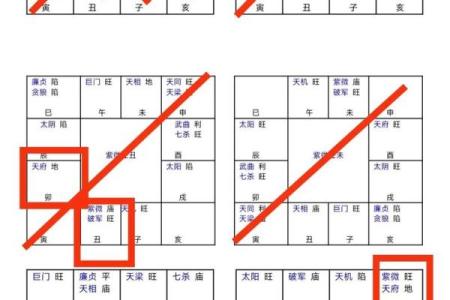 紫薇斗数阳宫