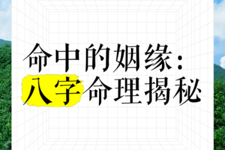 命运八字误姻缘免费阅读 八字命运的意思？