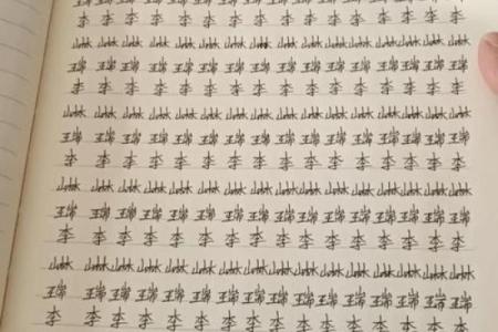 姓名与婚姻姓名