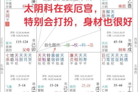 紫薇天相坐疾厄宫