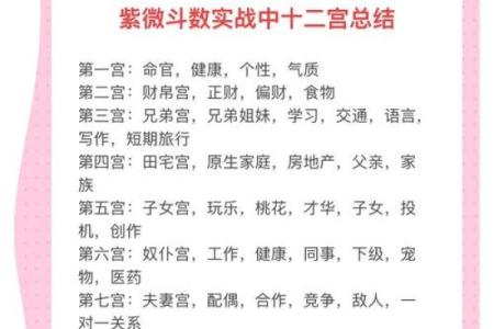 紫薇斗数吧美女