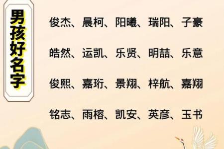 2019年6月11号子时出生的男孩如何起名姓名