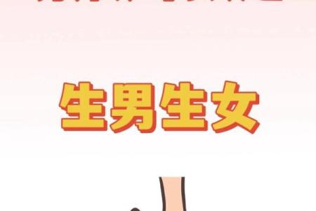 生男女紫薇斗数