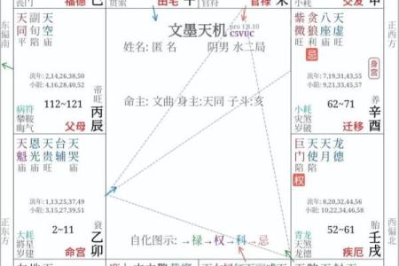 紫微斗数里怎样查小限视频 紫微斗数如何看大限？