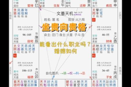 紫微斗数看配偶及恋爱婚姻之：刑克配偶的命