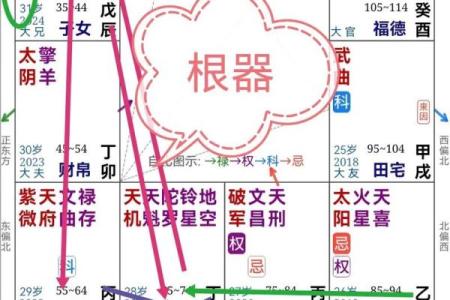 紫薇命理斗数app